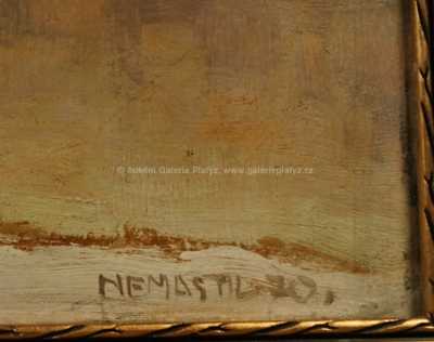  / Zima v jižních Čechách / Zdeněk Nemastil