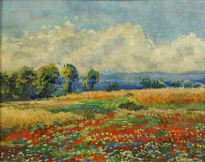  / Rozkvetlá louka / Karel Langer