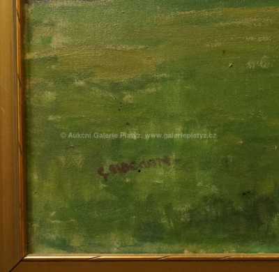  / Bouřkový den / Gustav Macoun