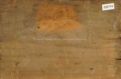  / Na lesní cestě / Édouard Marandon