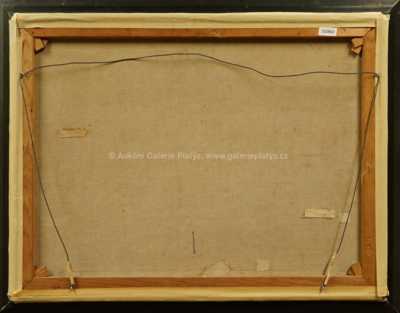  / Rozkvetlá zahrada / Bedřich  Feigl