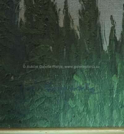  / Horské jezero / Antonín  Augusta