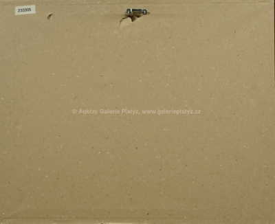  / Chalupy / Zoltán (Zolo) Palugyay