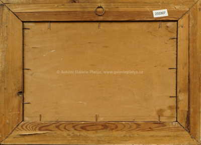  / Interiér lesa po dešti / Vojtěch Erdélyi