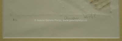  / Sblížení / Olbram Zoubek