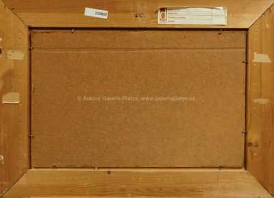  / Růže / Václav Vozáb