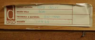  / Růže / Václav Vozáb