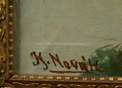  / Z pastvy / Karel Novák