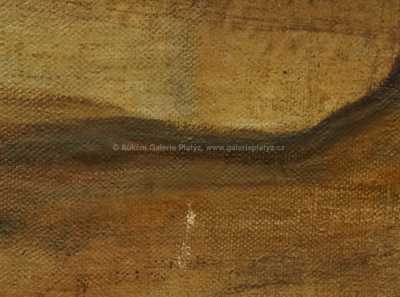  / Motiv z Prahy /   Autor neurčen