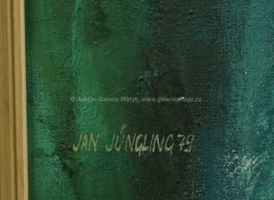  / Anestezioložka / Jan Jüngling