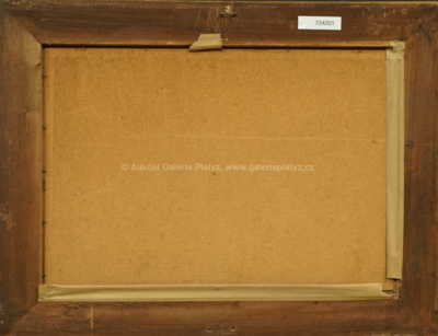  / Mrazivý den / František Daněk - Sedláček