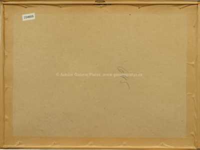  / Praga / Václav Zapadlík