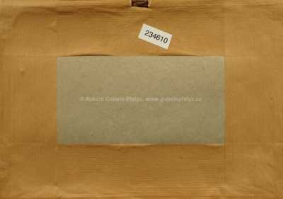  / Automobil / Václav Zapadlík