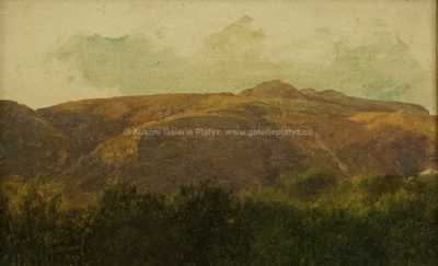  / Studie podhůří / A. B. Piepenhagen