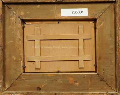  / Motiv ze Šumavy / Josef Krejsa