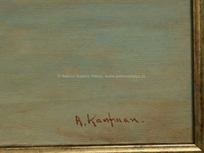  / Fjord / Adolf Kaufmann