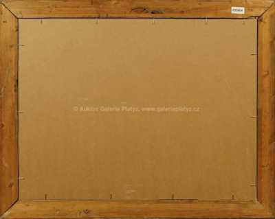  / U vodní hladiny / Jindřich Fürst