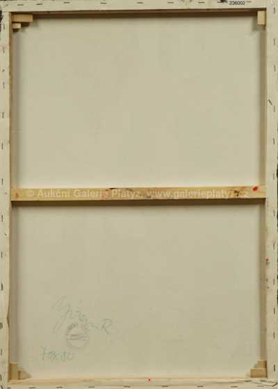  / Podkolenky / Robert Jiran