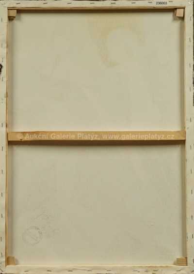  / Procházka Paříží / Robert Jiran