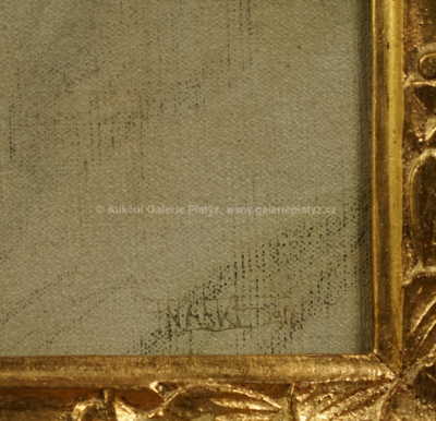  / Portrét Anduly Sedláčkové / František Xaver Naske