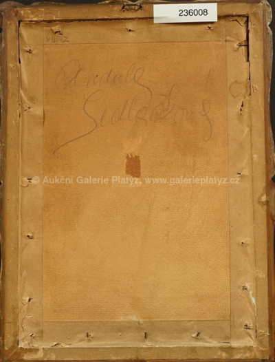  / Portrét Anduly Sedláčkové / František Xaver Naske