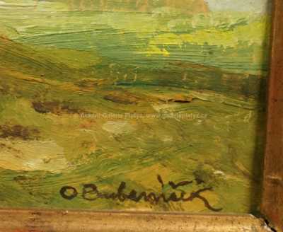  / Z Vožicka / Ota Bubeníček