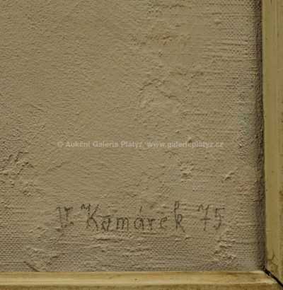  / Strom v zimě / Vladimír Komárek