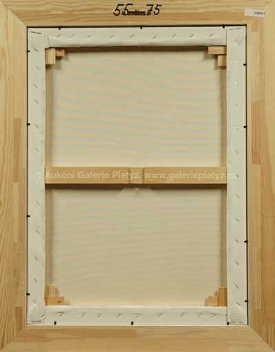  / Daria Klimentová / František Ringo Čech