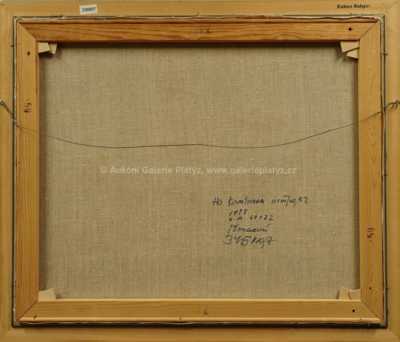  / Bez názvu / Genadij Zubkov