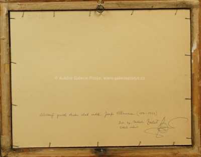  / Vesnické stavení / Josef Ullmann