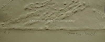  / Stín v cele / Olbram Zoubek