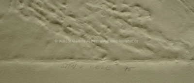  / Stín v cele / Olbram Zoubek