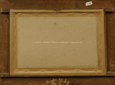  / Vodní hladina / František Líbal