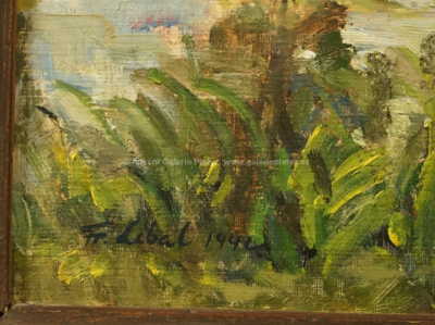  / Vodní hladina / František Líbal