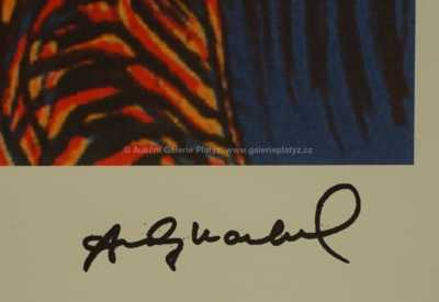  / Zebra / Andy Warhol