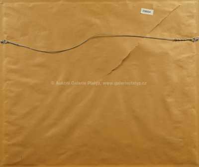  / Muzeum v New Yorku / Kamil Kubík