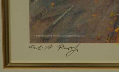  / Muzeum v New Yorku / Kamil Kubík