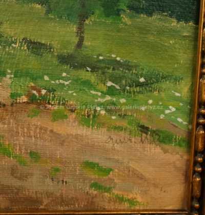  / Rozkveltý den / Gustav Macoun