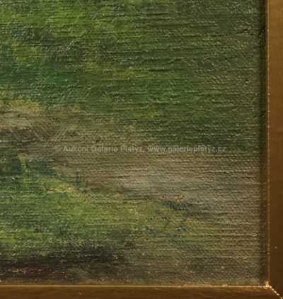  / Krajina před bouří / Ferdinand Engelmüller