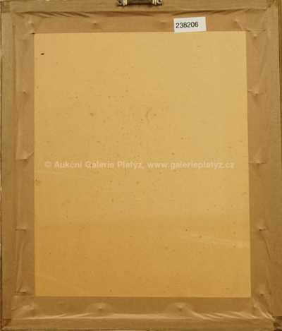  / Krajina před bouří / Ferdinand Engelmüller