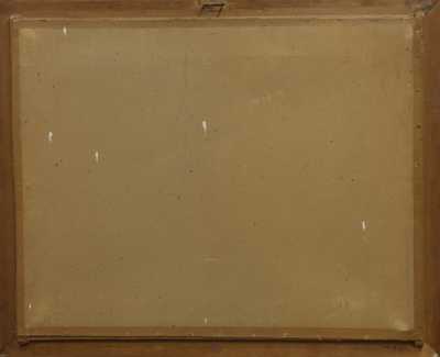  / Lokomotivy / Jaroslav Ronek