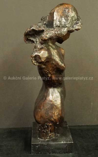  / Dívka / Blanka Voldřichová