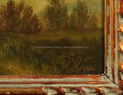  / Strom ve větru / Viktor  Rolín