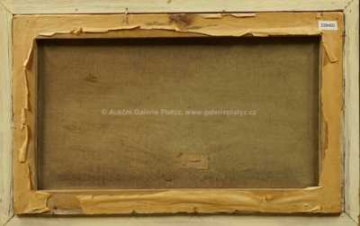  / Potok v zimě / Václav Březina