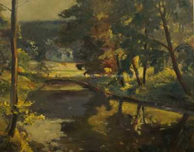  / Jezírko v lese / Vojtěch Erdélyi