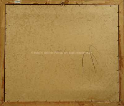  / Jezírko v lese / Vojtěch Erdélyi