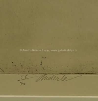  / Bez názvu / Jiří Anderle
