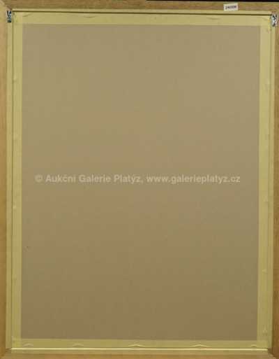  / Bez názvu / Jiří Anderle