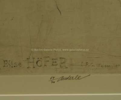  / Elise Höfer / Jiří Anderle