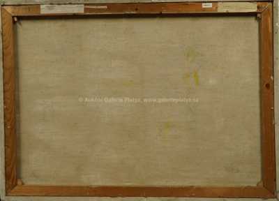  / Chrám Buddhova zubu v Kandy / Jaromír Skřivánek